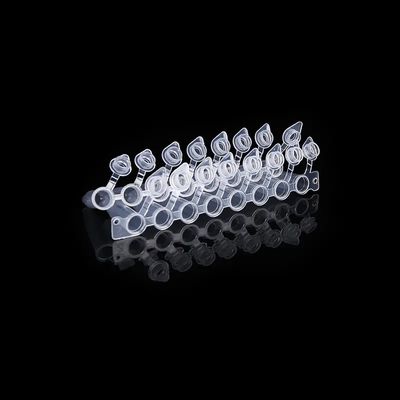 درپوش‌های گنبدی شکل 0.2 میلی‌لیتر PCR لوله 8 نوار با درپوش متصل هشت لوله متصل PCR